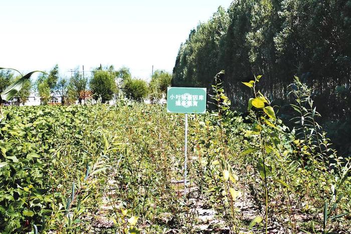 微信圖片_20230823165105 微信圖片_20230823165105