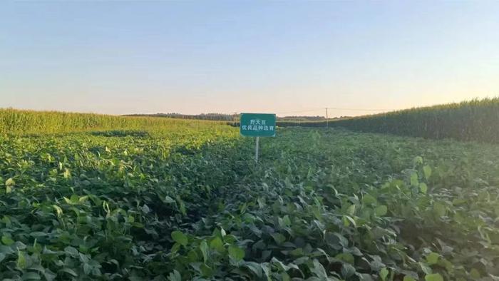 微信圖片_20230823165115 微信圖片_20230823165115