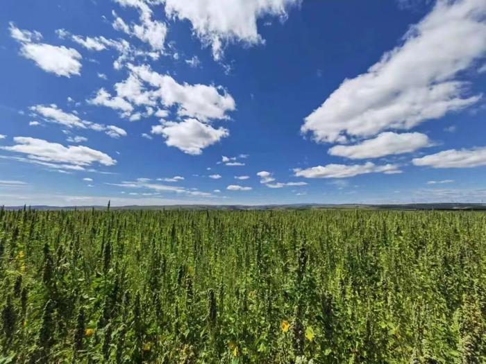 微信圖片_20230823165124 微信圖片_20230823165124