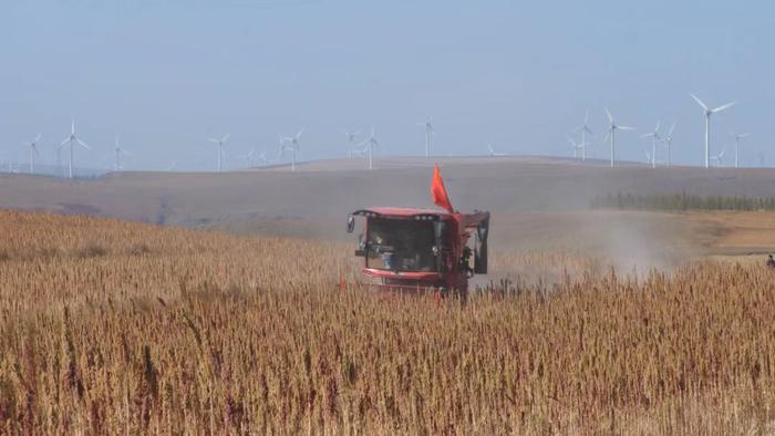 微信圖片_20230823165128 微信圖片_20230823165128