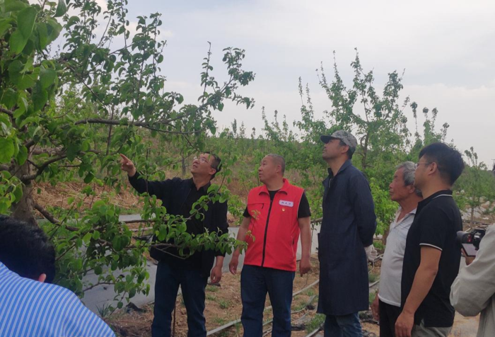 35ba9639cdcd2ff2d561559a4352957 35ba9639cdcd2ff2d561559a4352957