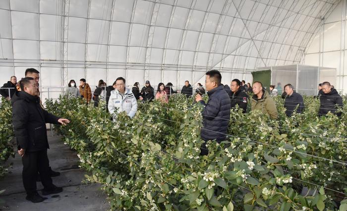 微信圖片_20251205154923 微信圖片_20251205154923